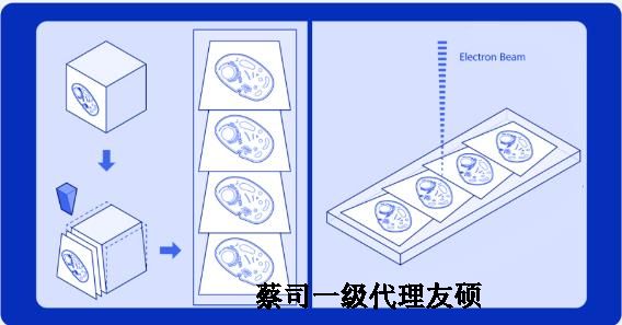 武汉蔡司武汉扫描电镜