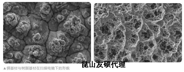 武汉蔡司武汉扫描电镜